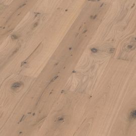 Oak No 6 - Stirling